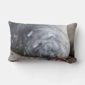 眠っている象のアザラシ ランバークッション (裏面)
