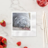 眠っている象のアザラシ 縁ありカクテルナプキン (インサイチュ)