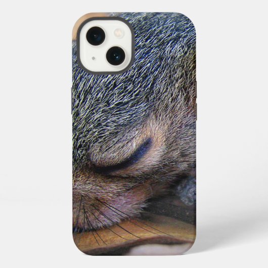 眠っている赤ちゃんリス iPhoneケース (裏面)