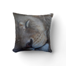 眠っている雄ライオン