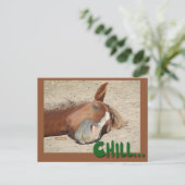眠っている馬のスマイル: Chill ポストカード (スタンド正面)