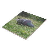 眠っている鳩のタイル タイル (側面)