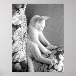 眠っている ポスター