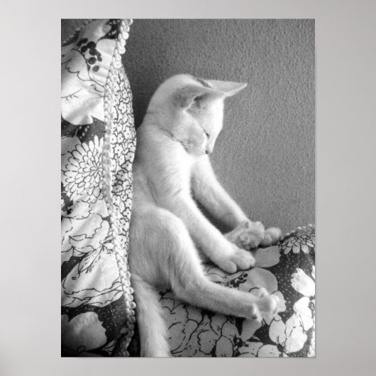 眠っている ポスター (正面)