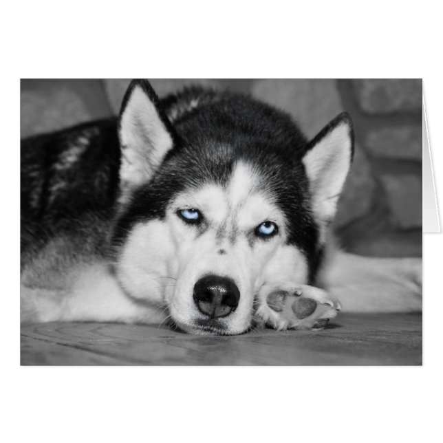 眠らせてくれ (正面横)