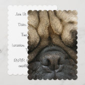 眠りパグ 招待状 (正面/裏面)