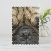 眠りパグ 招待状 (スタンド正面)