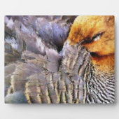 眠るアヒル フォトプラーク (正面)