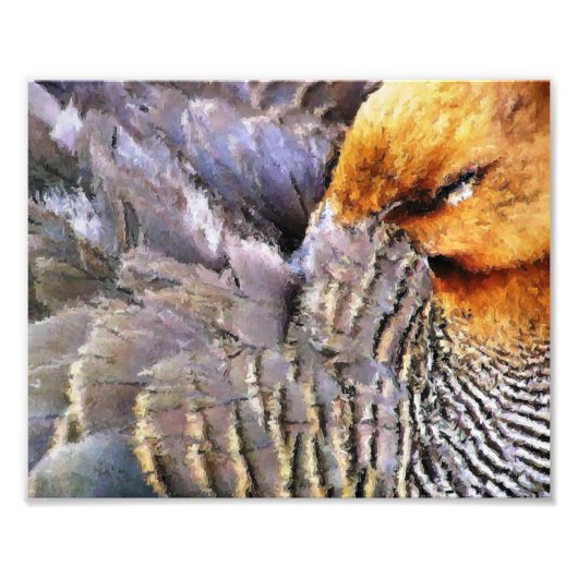 眠るアヒル フォトプリント            (正面)