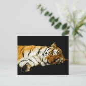 眠るアムールのはがき ポストカード (スタンド正面)