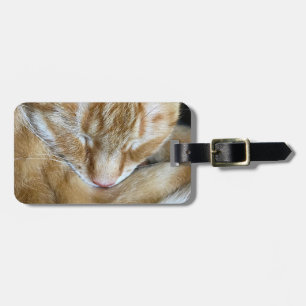 眠るオレンジのタビー猫 ラゲッジタグ