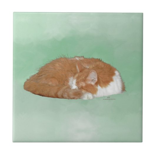 眠るオレンジの子猫 タイル (正面)