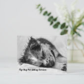 眠るオーストラリアの羊飼い子犬ペットシッター ポストカード (スタンド正面)