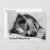 眠るオーストラリアの羊飼い子犬ペットシッター ポストカード (正面/裏面)