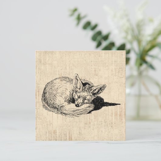 眠るキツネ図解入りの、写真付きのアートキュートヴィンテージ動物 カード (スタンド正面)