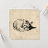 眠るキツネ図解入りの、写真付きのアートキュートヴィンテージ動物 カード (正面/裏面インサイチュ)