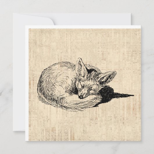 眠るキツネ図解入りの、写真付きのアートキュートヴィンテージ動物 カード (裏面)