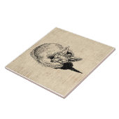 眠るキツネ図解入りの、写真付きのアートキュートヴィンテージ動物 タイル (側面)