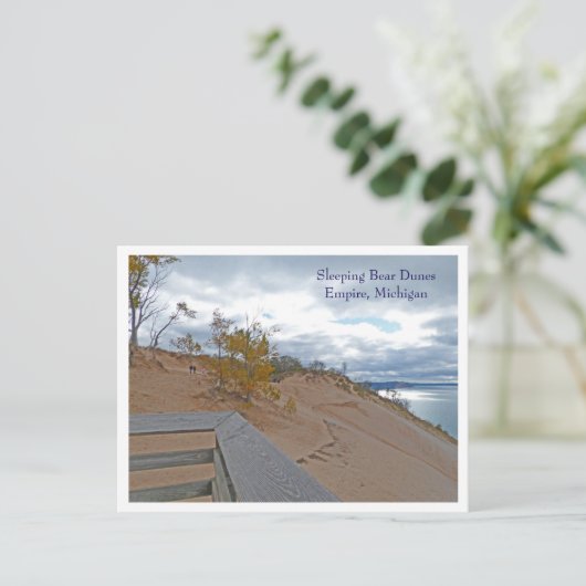 眠るクマ砂丘ナショナルレイクショア,帝国,ミ ポストカード (スタンド正面)