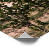 眠るクマ砂丘ナショナルレイクショア, MI ポスター (角)