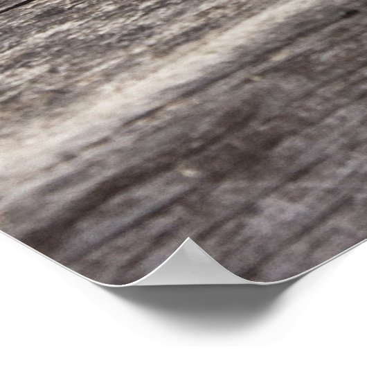 眠るクレタン猫 ポスター (角)