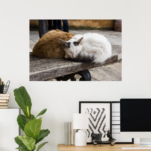 眠るクレタン猫 ポスター (ホームオフィス)