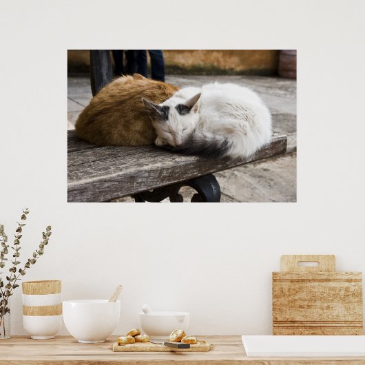 眠るクレタン猫 ポスター (キッチン)