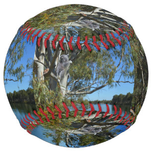 眠るコアラ川マレーAustralia，ソフトボール ソフトボール