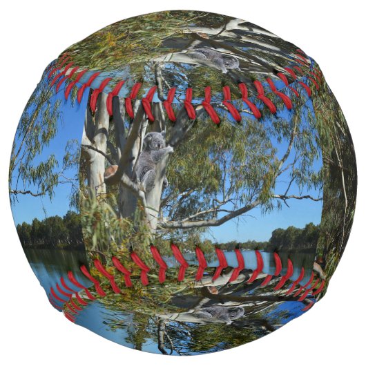 眠るコアラ川マレーAustralia，ソフトボール ソフトボール (正面)