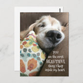 眠るゴールデンレトリバー美しいもの愛 ポストカード (正面/裏面)