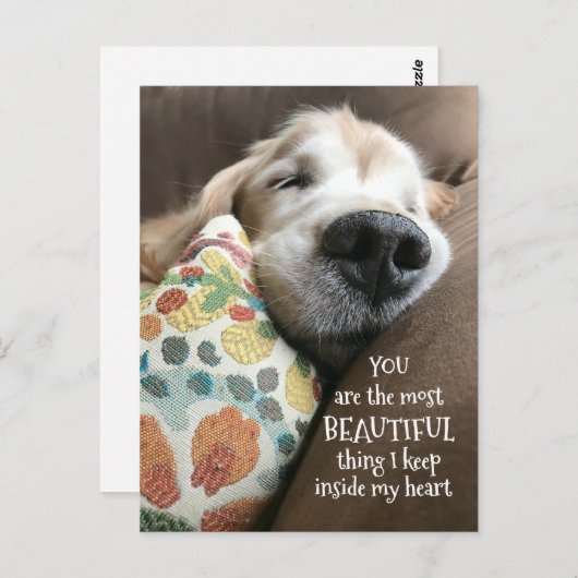 眠るゴールデンレトリバー美しいもの愛 ポストカード (正面/裏面)