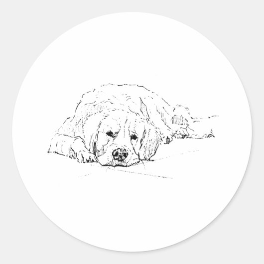 眠るゴールデンレトリバー 犬のイラスト ラウンドシール (正面)