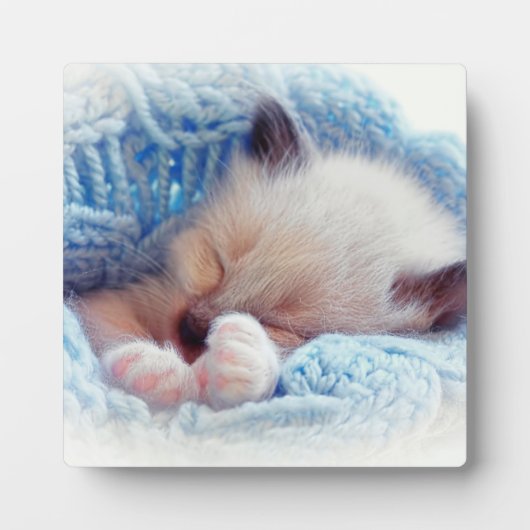 眠るシャミーキッテンポーズ フォトプラーク (正面)