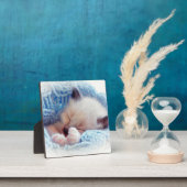 眠るシャミーキッテンポーズ フォトプラーク (インサイチュ)