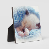 眠るシャミーキッテンポーズ フォトプラーク (正面)