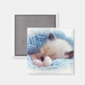 眠るシャミーキッテンポーズ マグネット (正面/裏面)