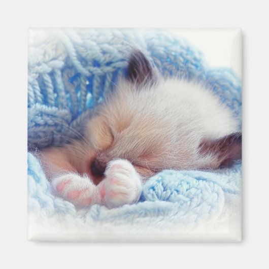 眠るシャミーキッテンポーズ マグネット (正面)