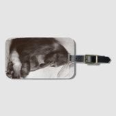 眠るシルバーバック ラゲッジタグ (正面横)