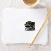 眠るジャガーの背景なし ラベル (インサイチュ)