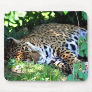 眠るジャガー マウスパッド