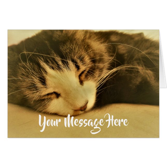 眠るセピアキャットナップ (正面横)