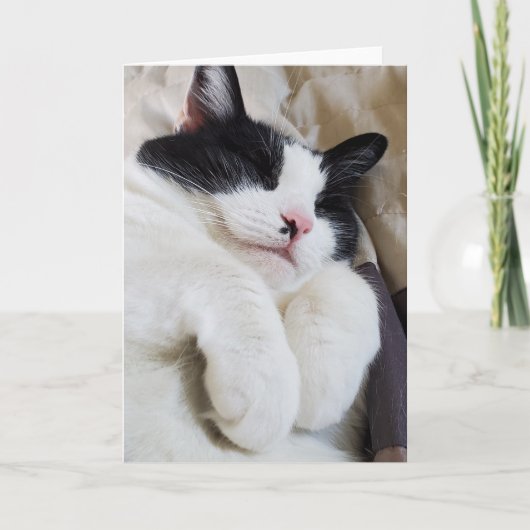 眠るタキシード猫カード カード (正面)