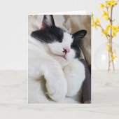 眠るタキシード猫カード カード (黄色い花)