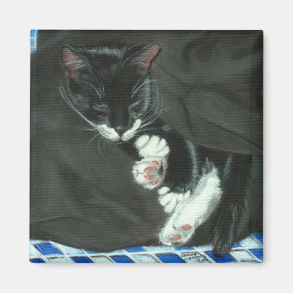 眠るタキシード猫マグネット マグネット