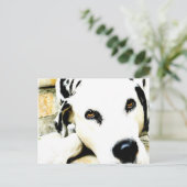 眠るダルマチアのポストカード ポストカード (スタンド正面)