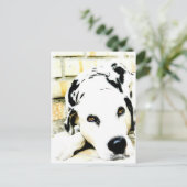 眠るダルマチアのポストカード ポストカード (スタンド正面)