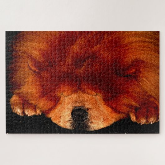 眠るチョウ20x30 1014pc jpa ジグソーパズル (横)