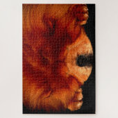 眠るチョウ20x30 1014pc jpa ジグソーパズル (縦)