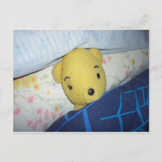 眠るテディ ポストカード (正面)