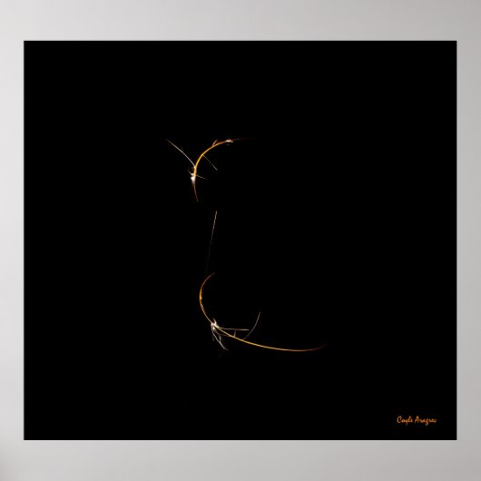 眠るドラゴン ポスター (正面)